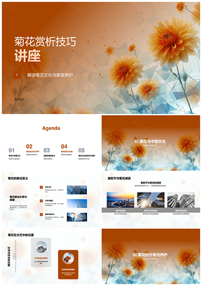 菊花赏析养护与重阳文化象征历史PPT模板