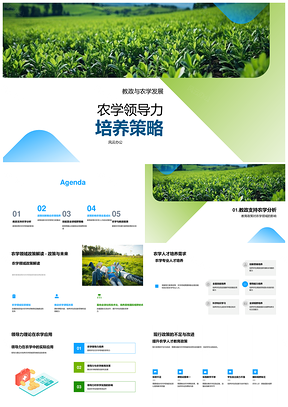 农学教政改革引领全球领导力人才培养PPT模板