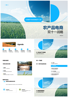 农产品电商双十一优惠定向营销策略PPT模板