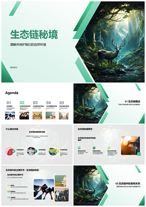 人类守护森林生态链遏食草捕食者灭绝PPT模板