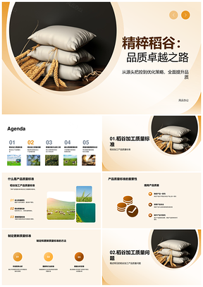 稻谷加工质量控制与质量管理优化PPT模板
