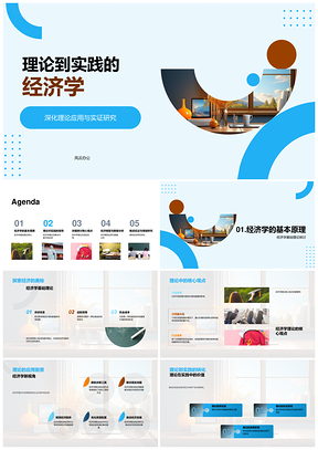 理论实践经济学应用精准数据分析图表PPT模板