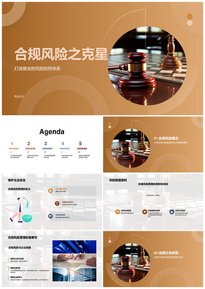 企业高管法律合规风险管理培训会要义PPT模板