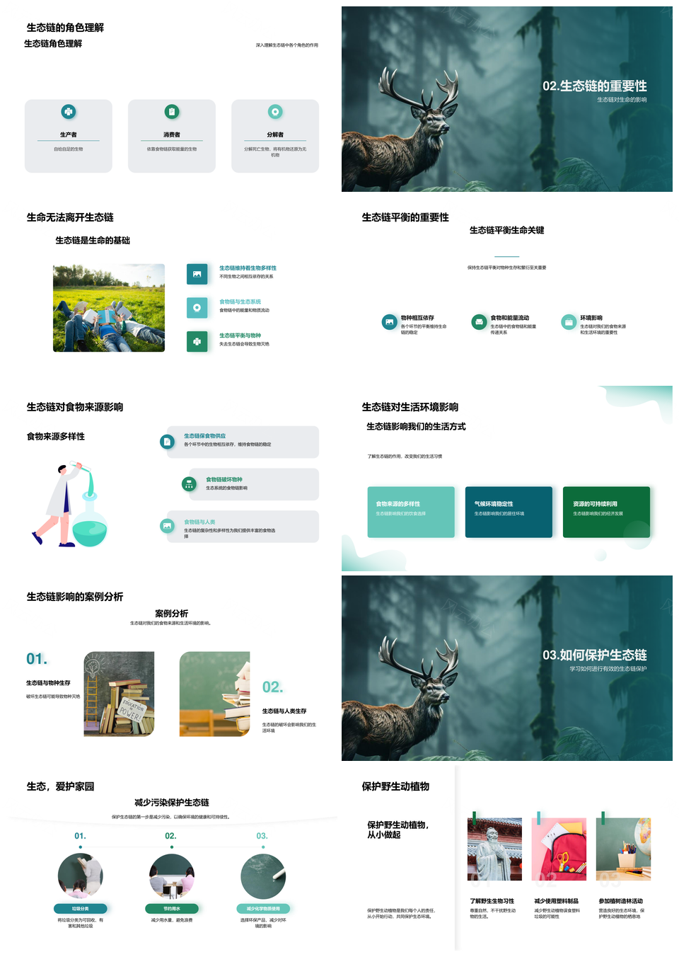 生态链保护森林资源能量流动与污染治理PPT模板