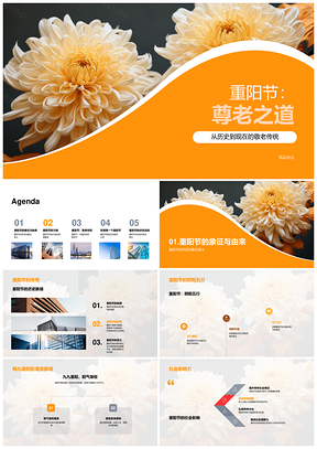 重阳敬老传统登高赏菊承美德PPT模板