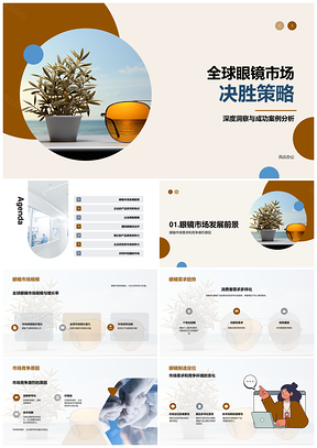 全球眼镜市场竞争策略与质设计趋势PPT模板