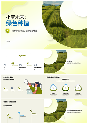 绿色小麦可持续种植环保水土效益PPT模板