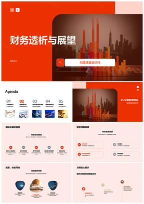 财务透析法规质量决策前景展望PPT模板