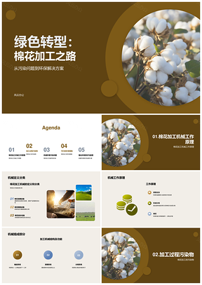棉花加工机械环保转型监管会议PPT模板