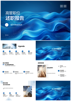 高管述职能力实践决策成就团队贡献案例PPT模板