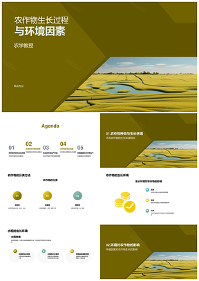 农作物类型生长环境因素农学师生研究PPT模板