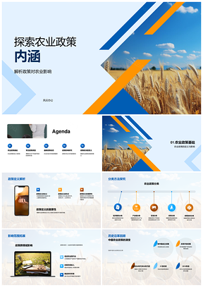 农业政策影响生产保护补贴环保助农发展PPT模板