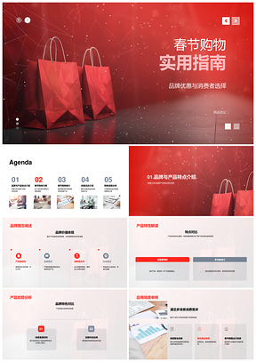 2025春节购物品牌优惠直播营销指南PPT模板