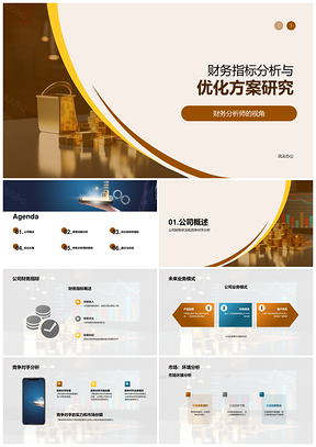 财务指标分析及资产负债结构优化研究PPT模板