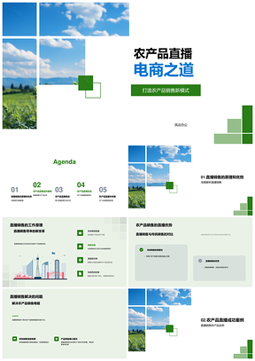 农产品直播电商营销策划与设备技术PPT模板