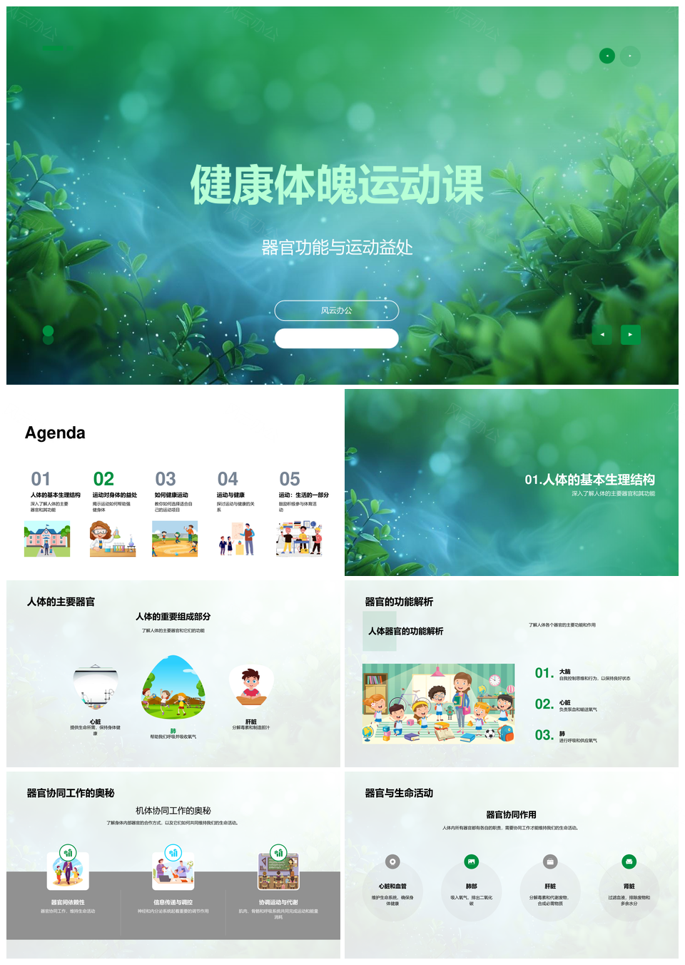 运动强健器官增免疫护健康体魄PPT模板