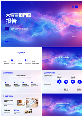 2025大雪品牌全渠道互动优惠营销策略报告PPT模板