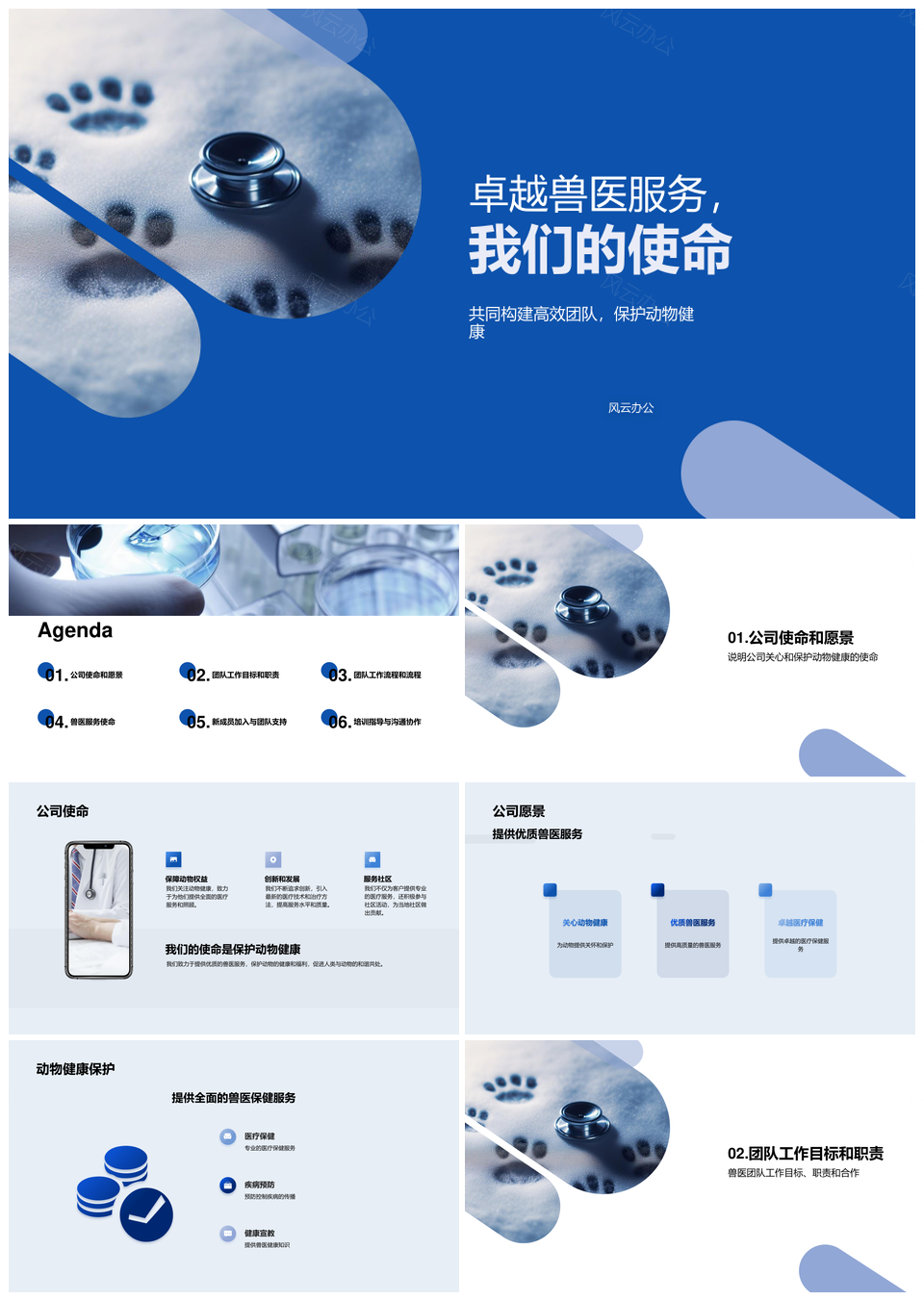 兽医主任引领团队总结使命护动物健康PPT模板