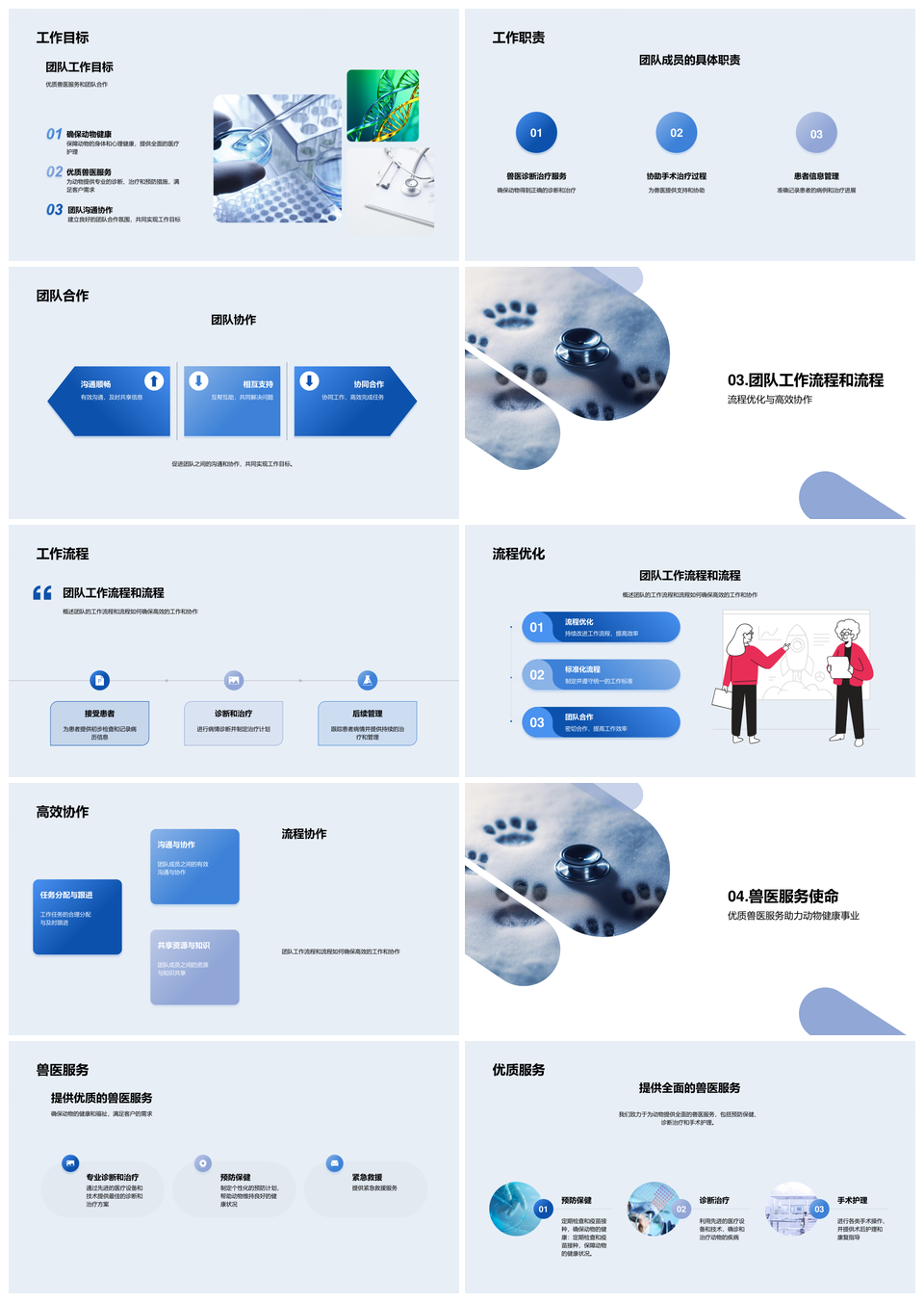 兽医主任引领团队总结使命护动物健康PPT模板