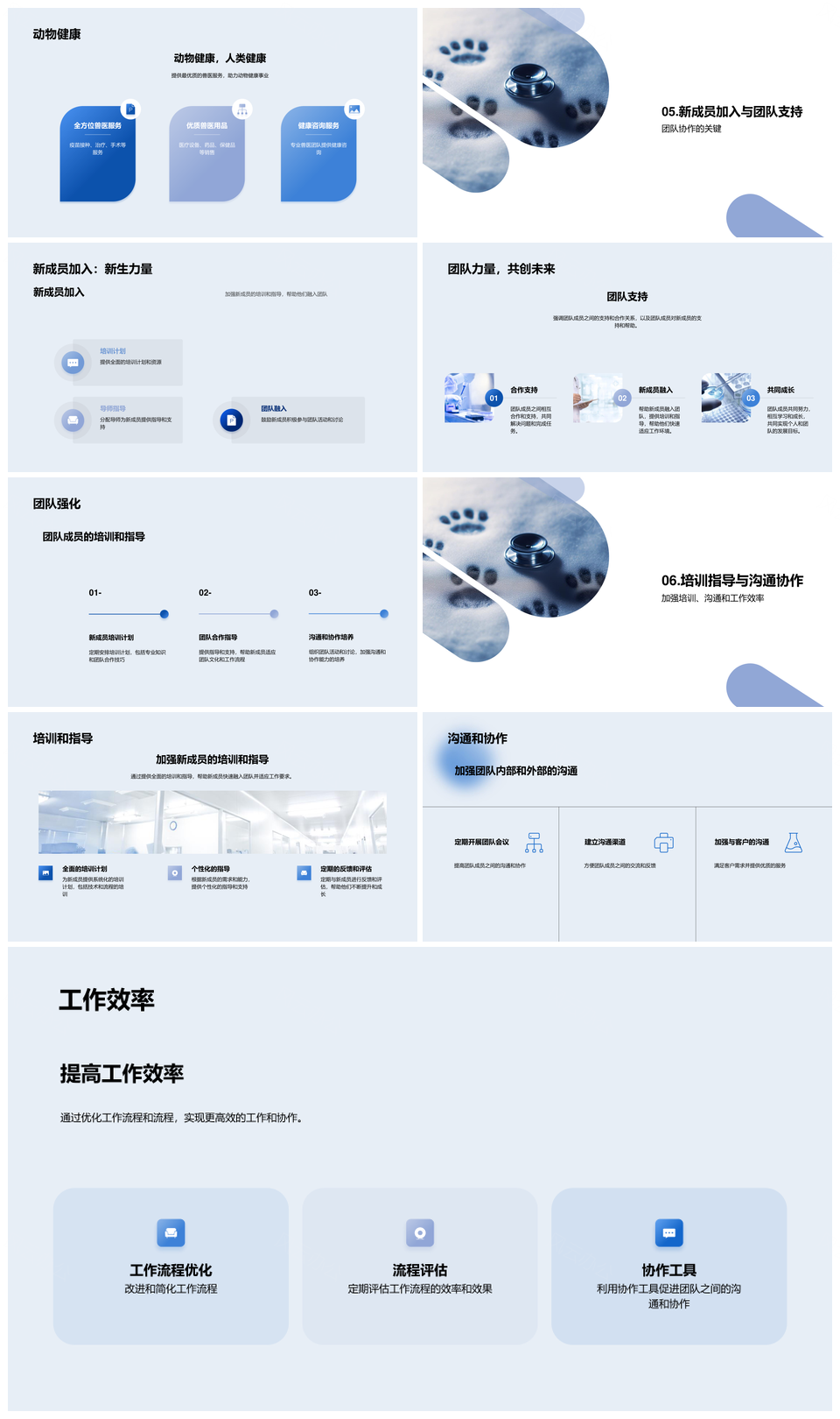 兽医主任引领团队总结使命护动物健康PPT模板