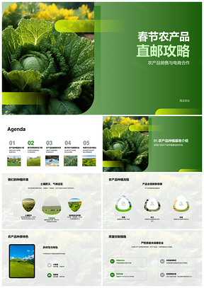 春节农产品电商直邮质控退换攻略PPT模板