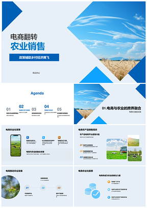 电商助农振兴乡村政企协同促发展PPT模板
