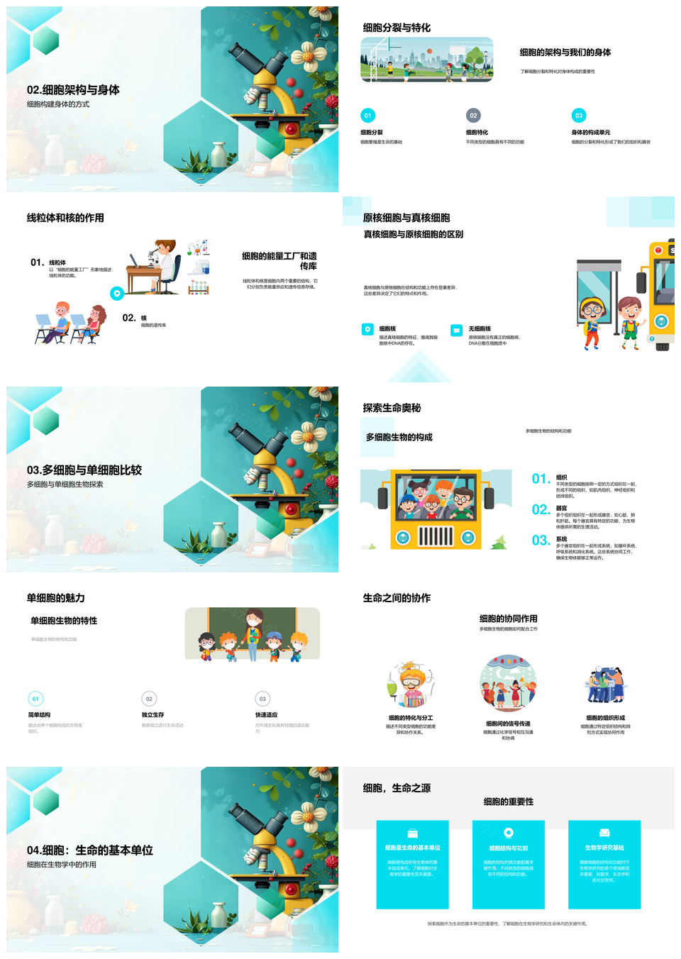 细胞结构功能分类线粒体核生物学讲座PPT模板