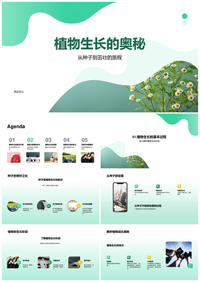 植物种子生长条件观察分析记录土壤水分PPT模板