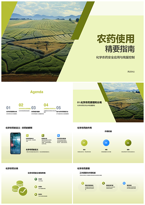 化学农药安全使用风险控制专家农民指南PPT模板