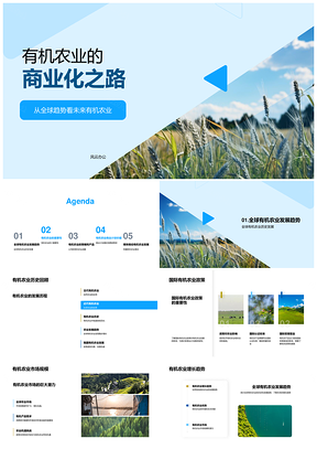 有机农业全球商业化趋势市场增长环保健康农民生产作物PPT模板