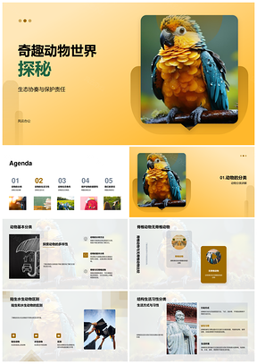 热带雨林奇趣动物生存守护探秘PPT模板