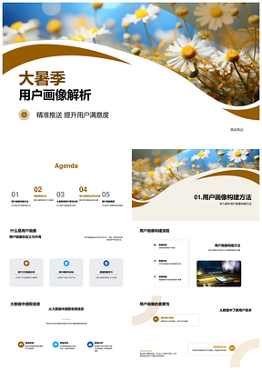 大暑用户画像大数据精准推送提升满意度防暑养生向日葵PPT模板