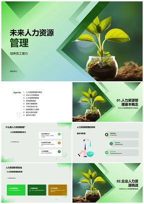 全球化高效人力资源经理目标职责与成长管理PPT模板
