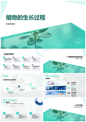 植物生长种子发芽根茎叶繁殖方式PPT模板