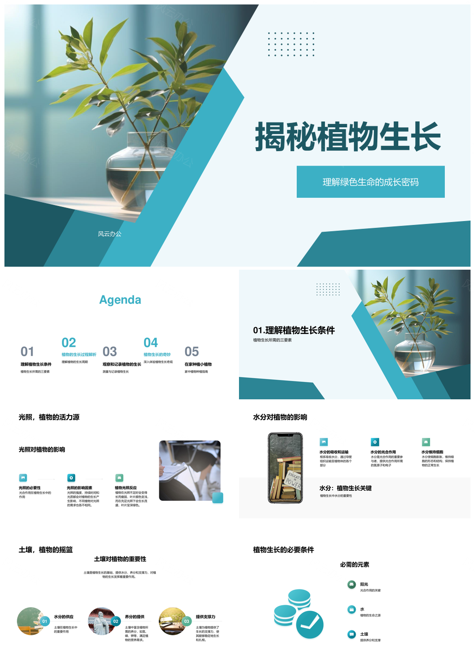 小学植物生长实验教学揭秘绿色生命基本条件PPT模板