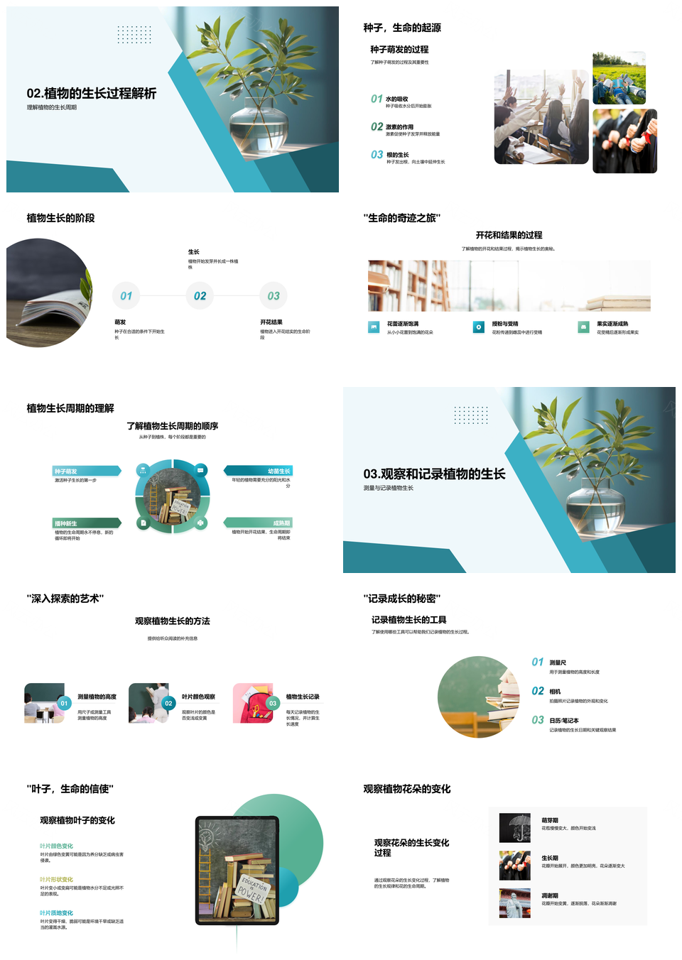 小学植物生长实验教学揭秘绿色生命基本条件PPT模板