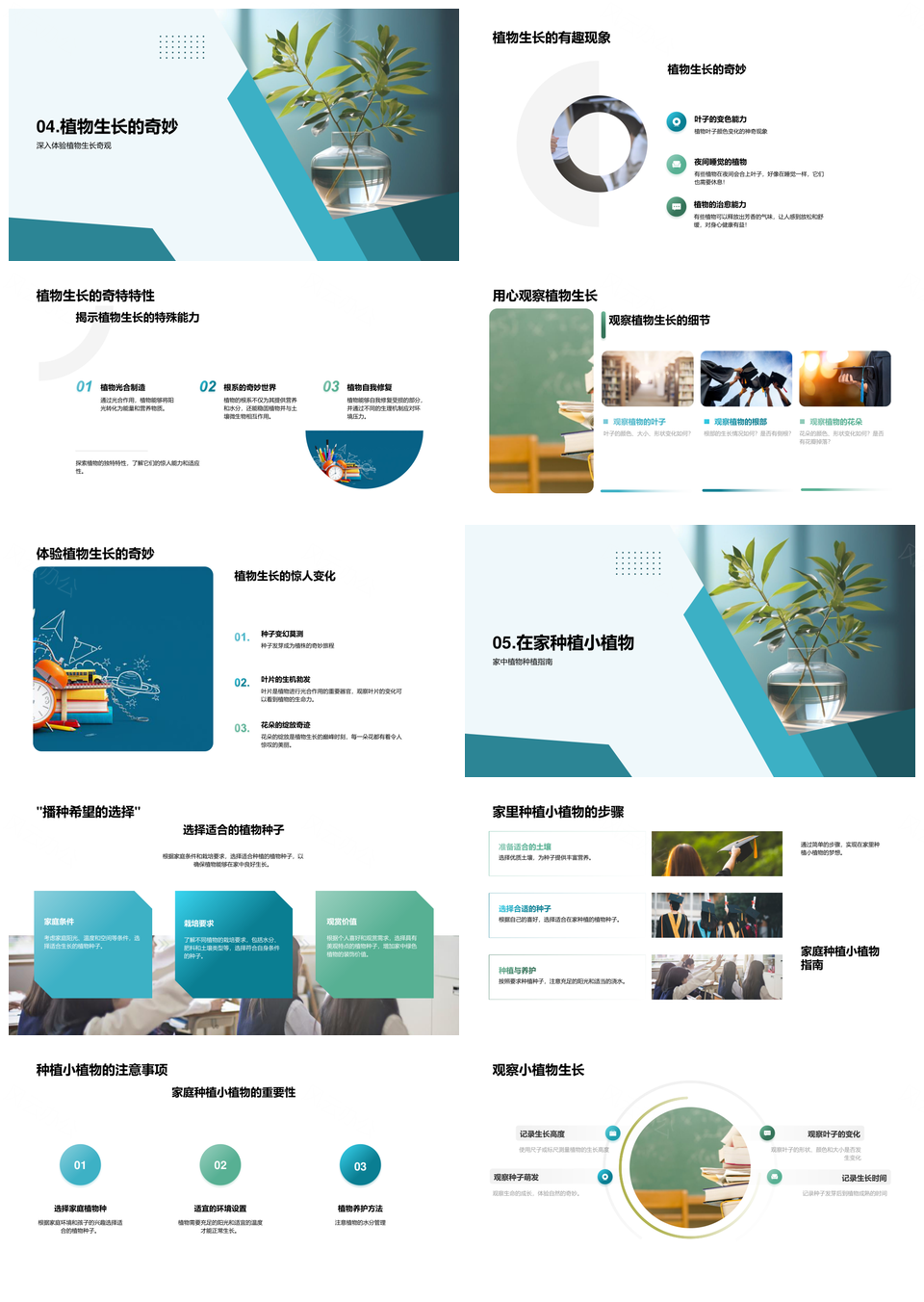 小学植物生长实验教学揭秘绿色生命基本条件PPT模板