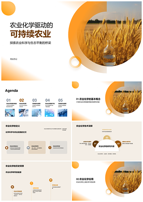 农业化学驱动小麦田可持续农业发展PPT模板