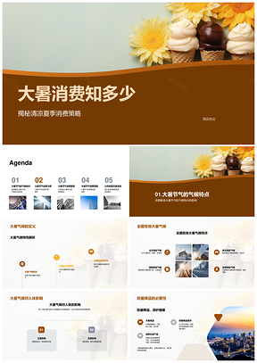 大暑消费清凉策略与理性比价指南PPT模板