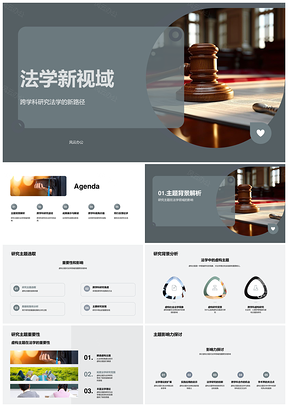 法学跨学科社心现象研究新域PPT模板