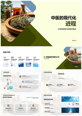 现代中医发展专家交流与中药针灸诊断研究PPT模板