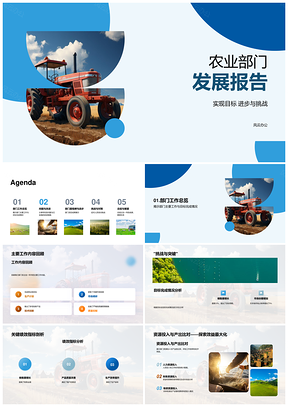农业部门目标完成小麦田项目质效提升问题改进PPT模板