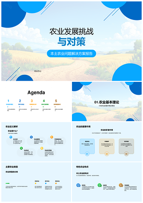 农业发展挑战本土问题资源生产效率对策PPT模板