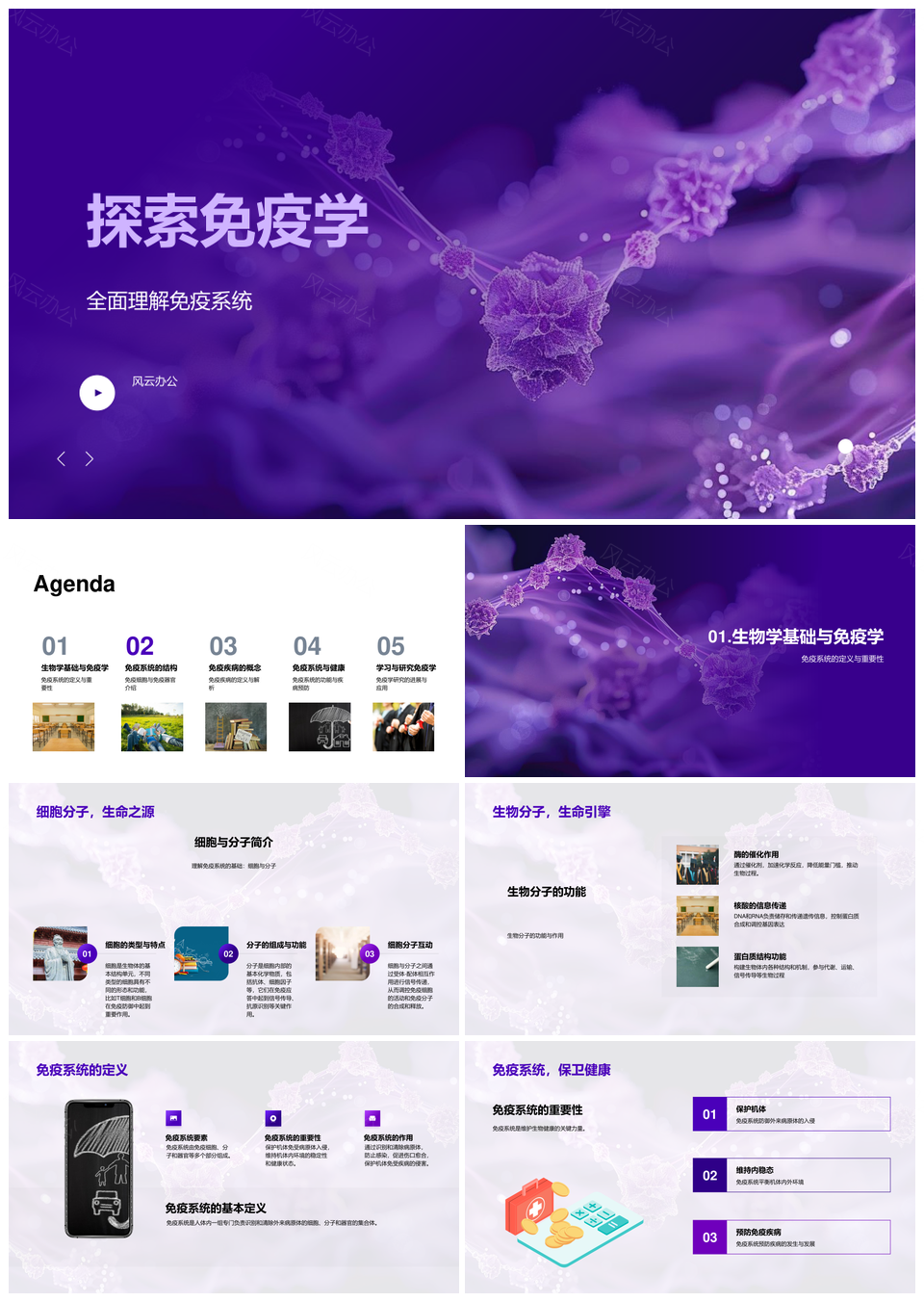 免疫系统细胞分子几何格子探秘PPT模板