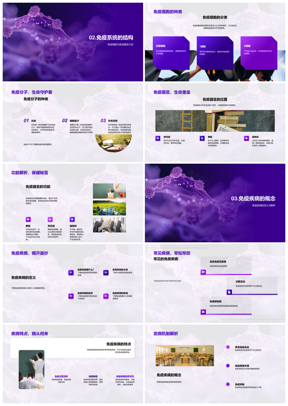 免疫系统细胞分子几何格子探秘PPT模板