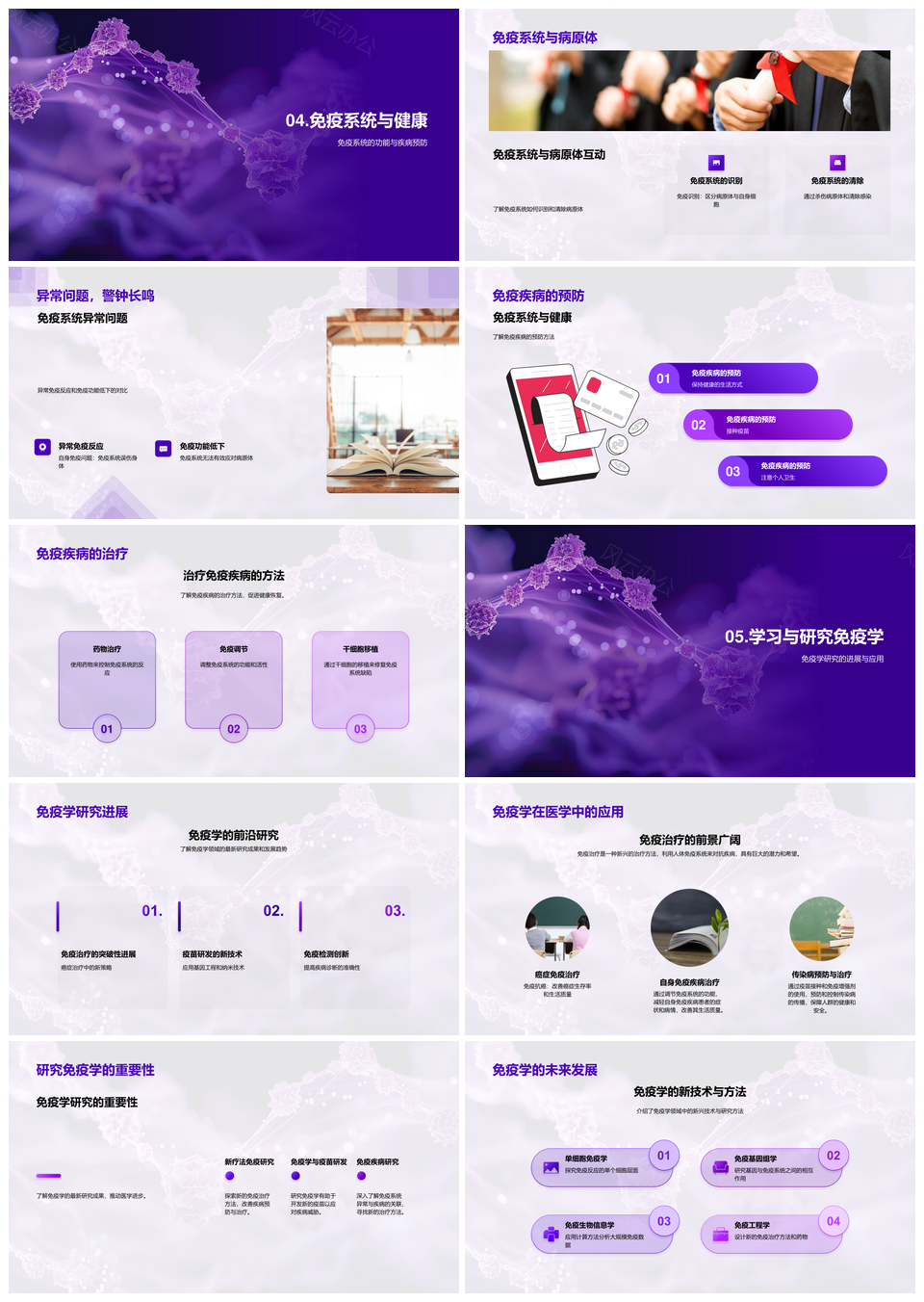 免疫系统细胞分子几何格子探秘PPT模板