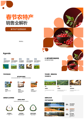 春节农特产销售消费市场心理地域分析PPT模板