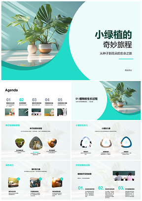 小绿植生长发芽开花结果环保护理阳光浇水营养PPT模板
