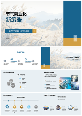 麦穗节气商业化新策略PPT模板
