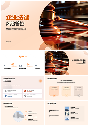 企业法律风险合规管控跨境知识产权保护PPT模板